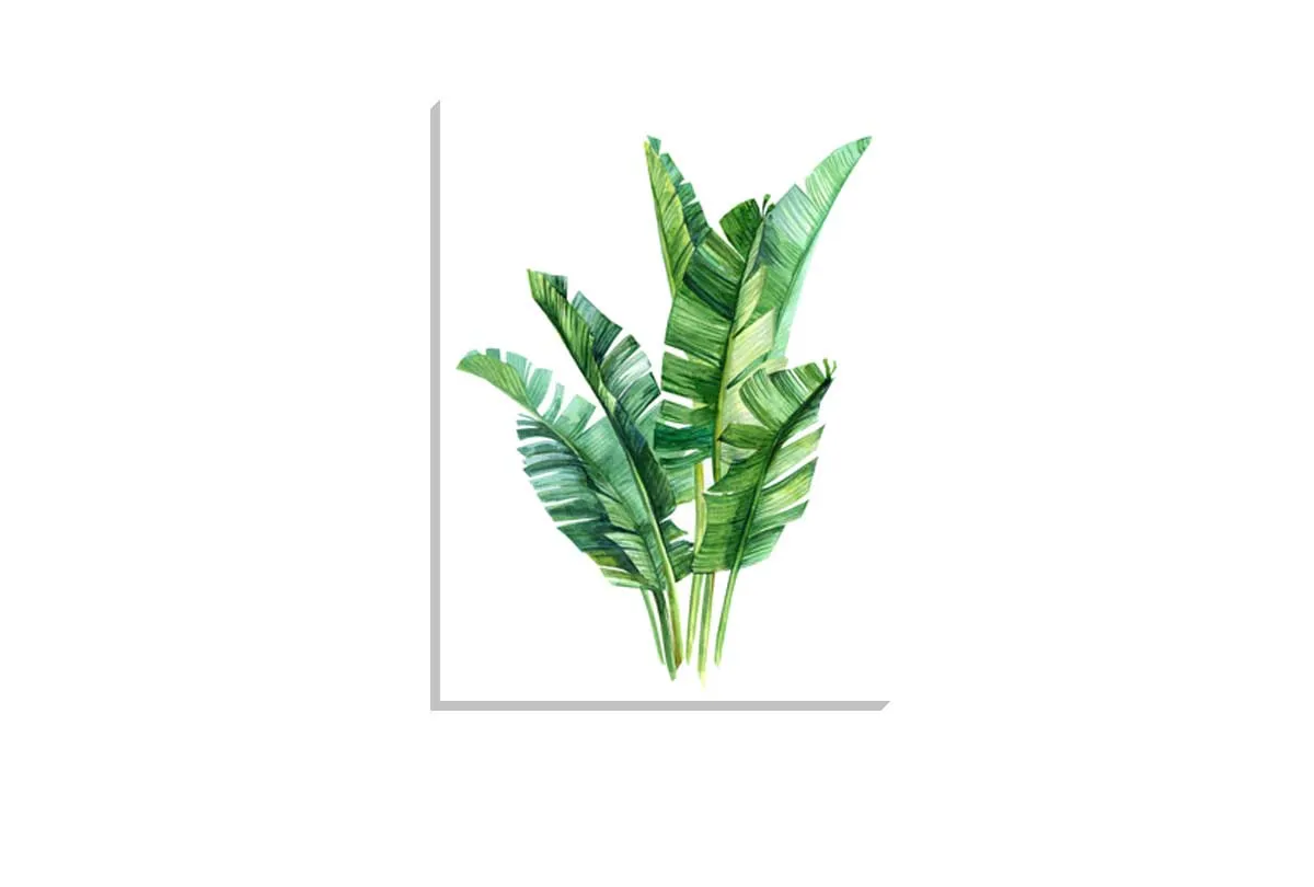 Banana Leaves in Watercolour | Canvas Wall Art Print