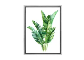 Banana Leaves in Watercolour | Canvas Wall Art Print