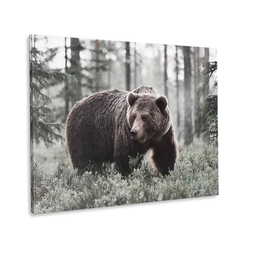 BEARANCE - Printed Canvas (90x120)