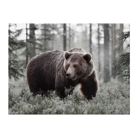 BEARANCE - Printed Canvas (90x120)