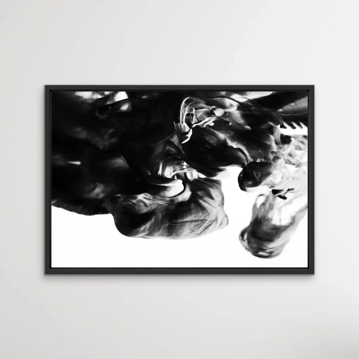 Black and White Abstract Suspension - Photographic Print Cloudy Wall Art Stretched Canvas