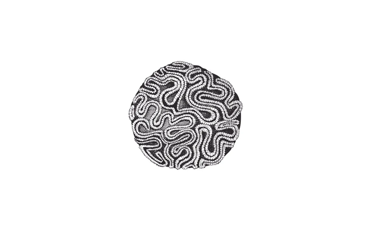 Brain Coral Black on White | Canvas Wall Art Print