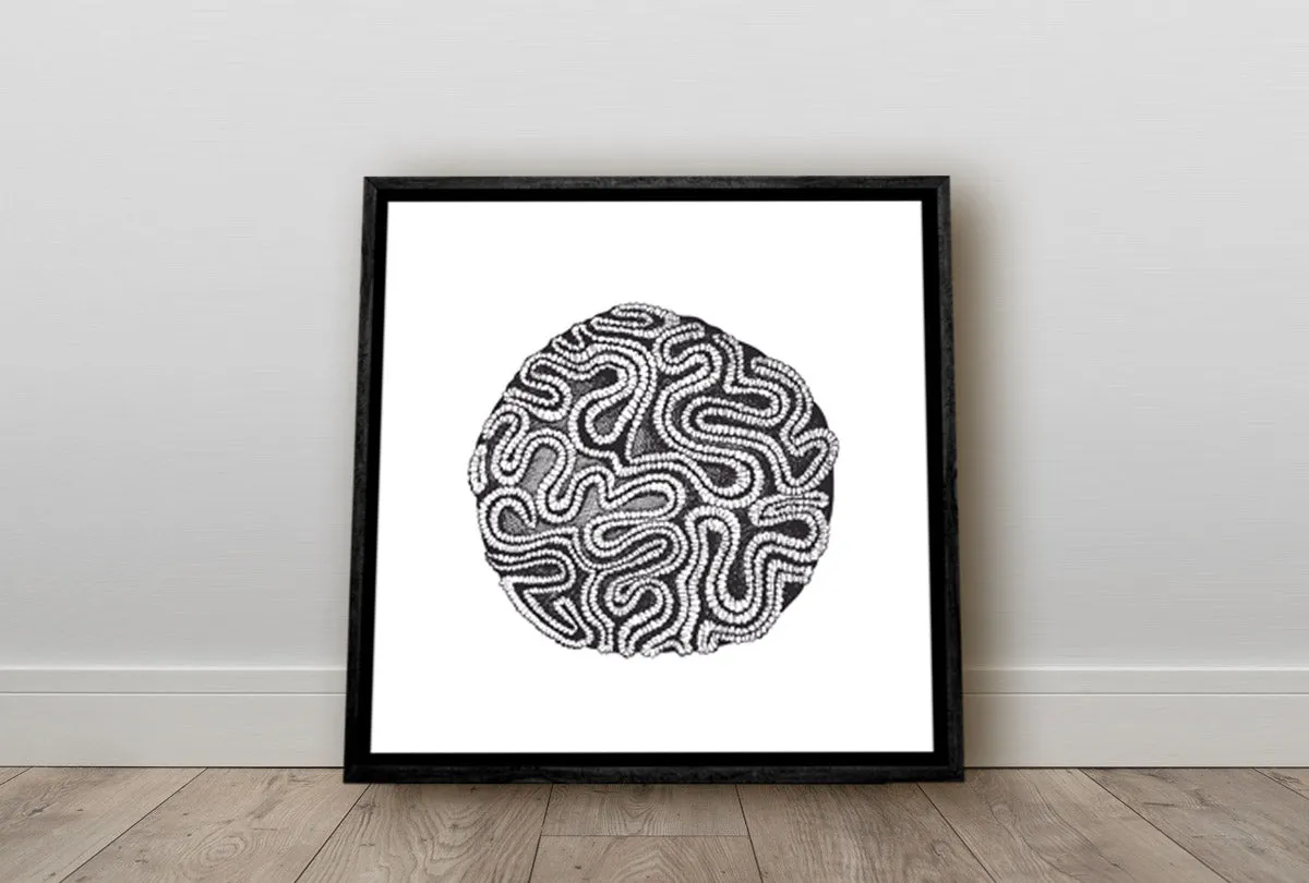 Brain Coral Black on White | Canvas Wall Art Print