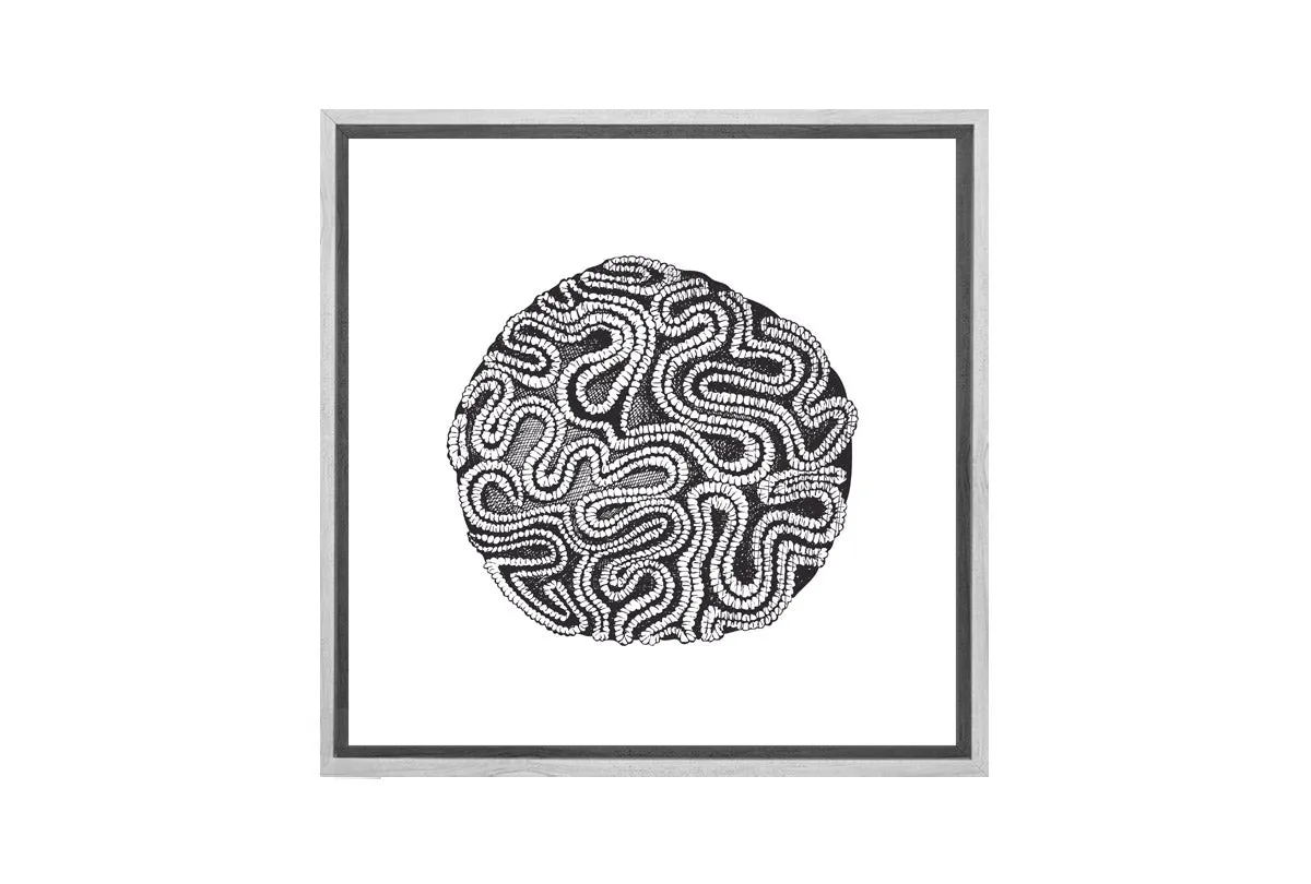 Brain Coral Black on White | Canvas Wall Art Print