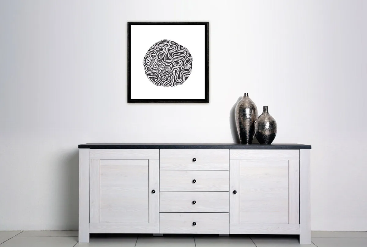 Brain Coral Black on White | Canvas Wall Art Print