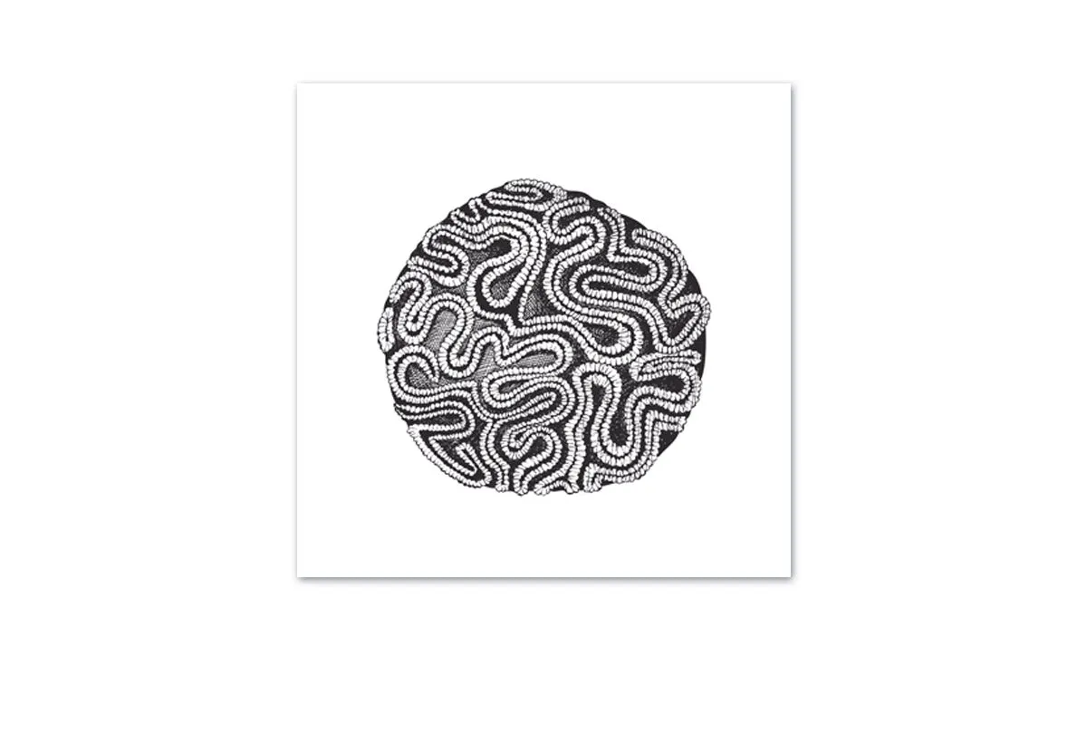 Brain Coral Black on White | Canvas Wall Art Print