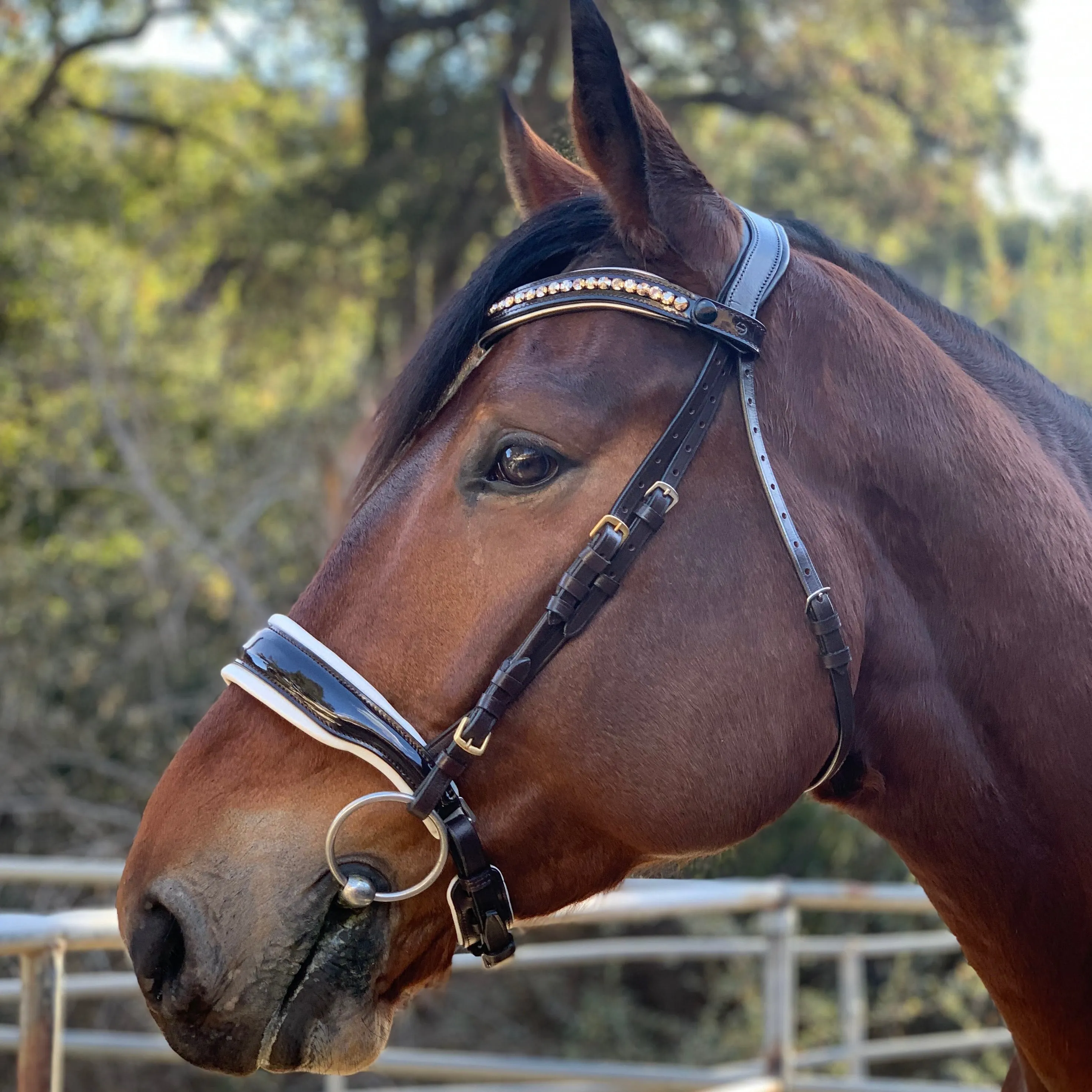 Crystal Patent Browband - Metallic Gold