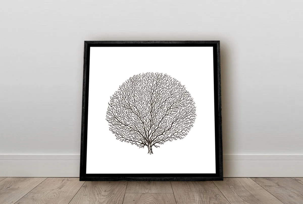 Fan Coral Black on White | Canvas Wall Art Print