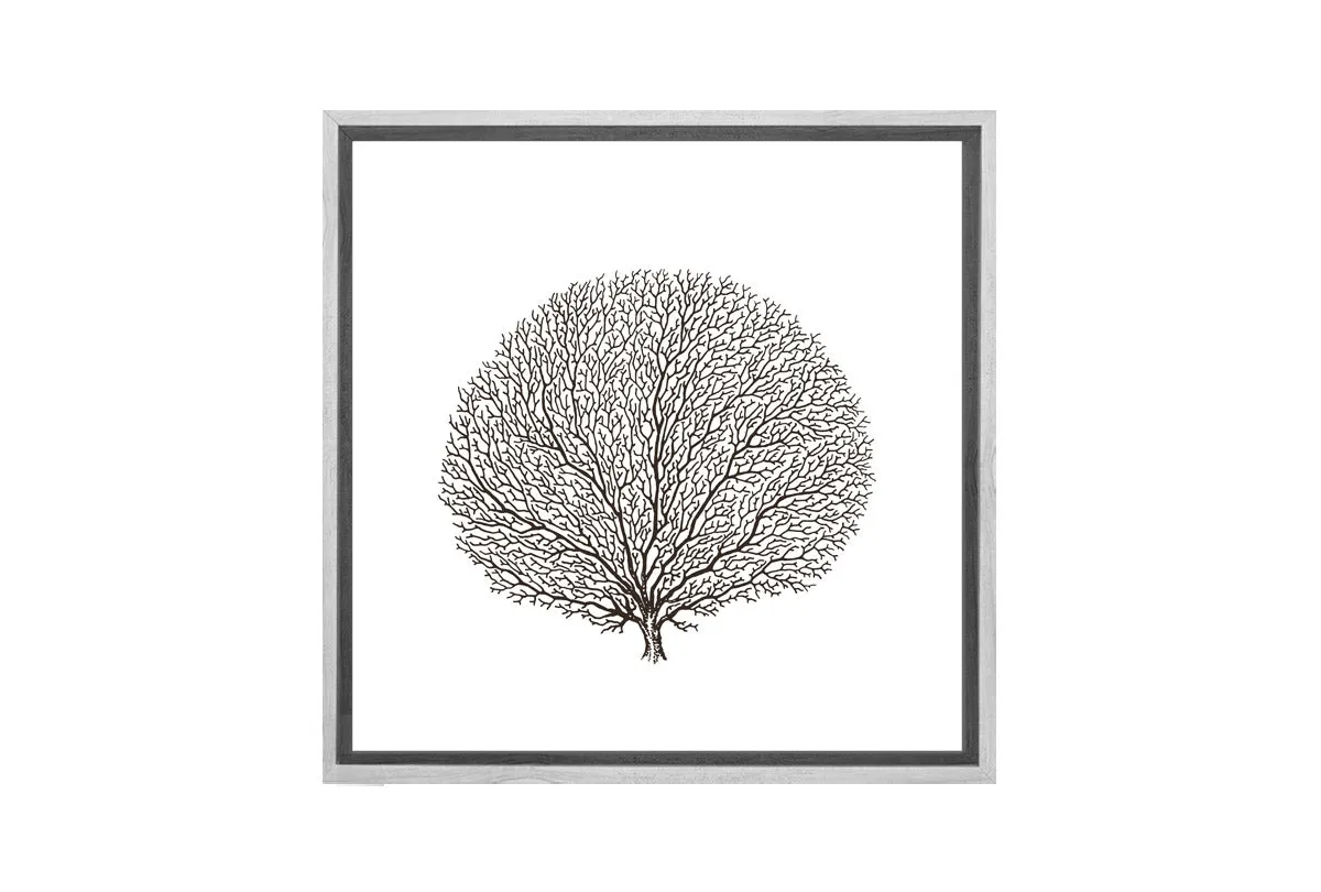 Fan Coral Black on White | Canvas Wall Art Print