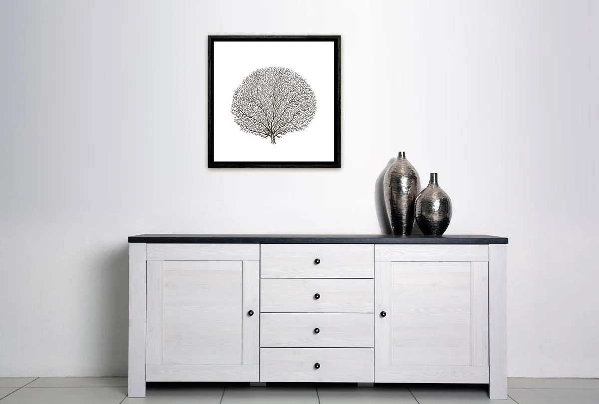 Fan Coral Black on White | Canvas Wall Art Print