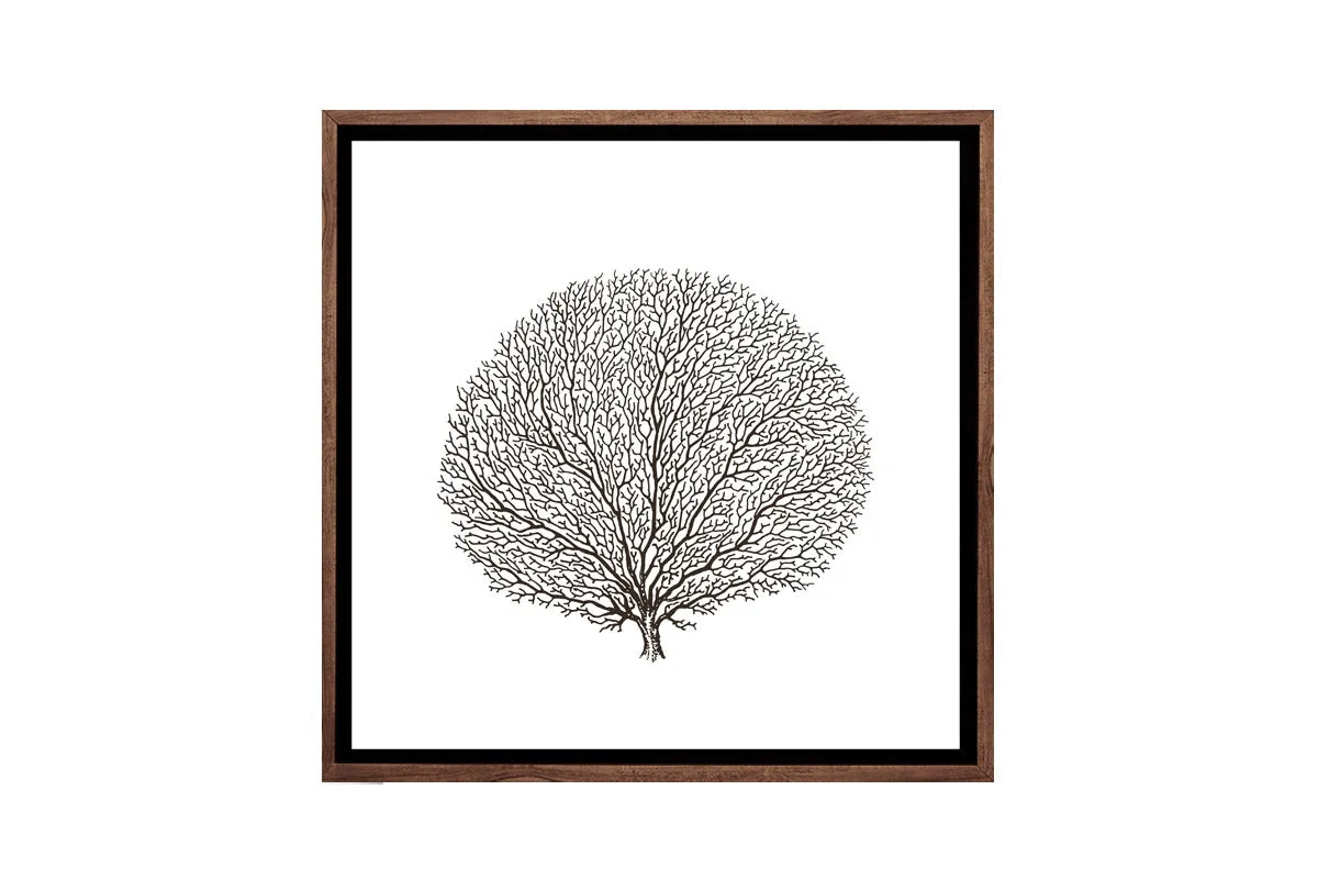 Fan Coral Black on White | Canvas Wall Art Print