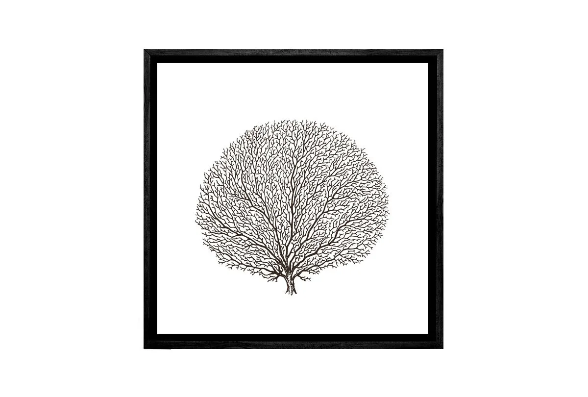 Fan Coral Black on White | Canvas Wall Art Print