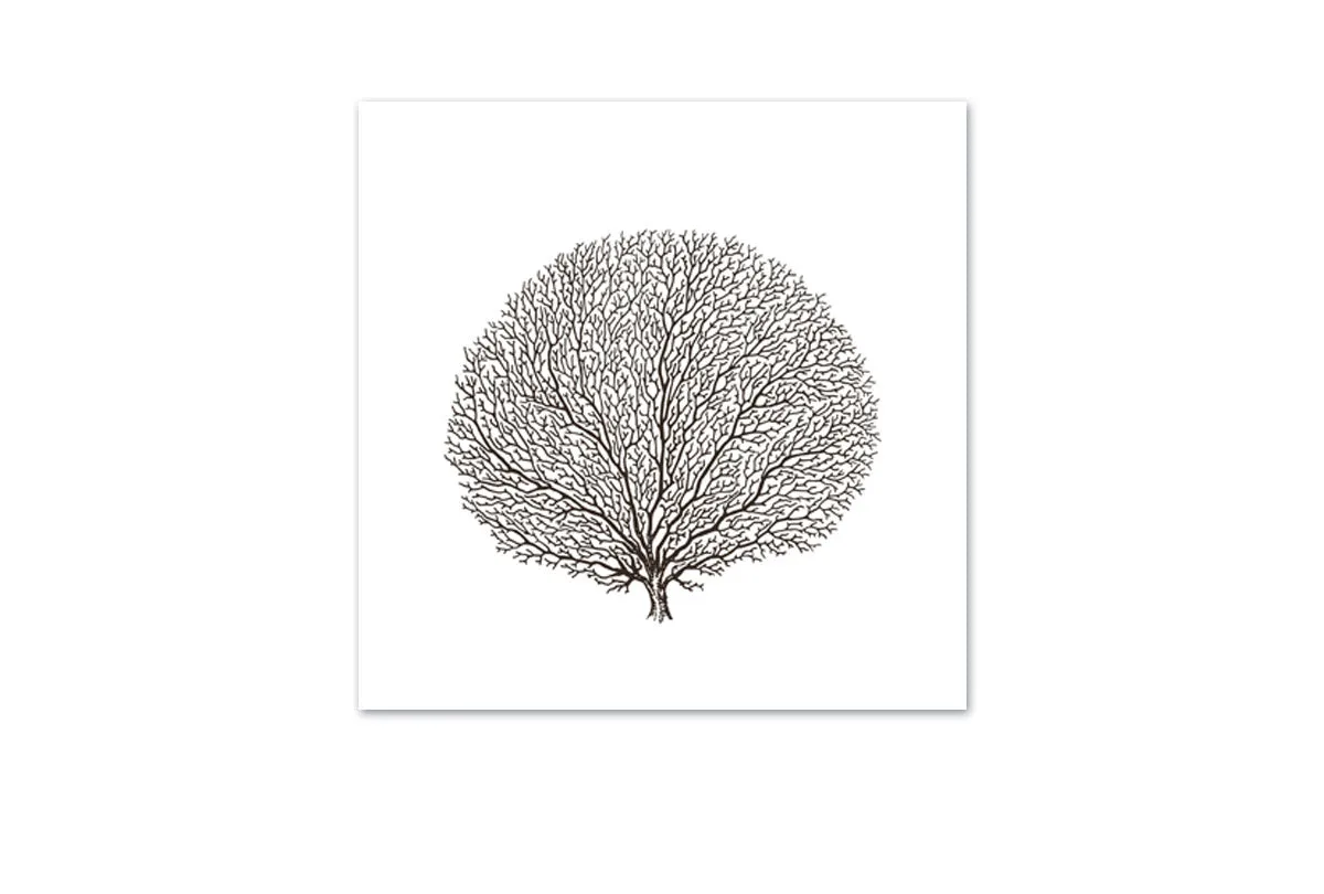 Fan Coral Black on White | Canvas Wall Art Print