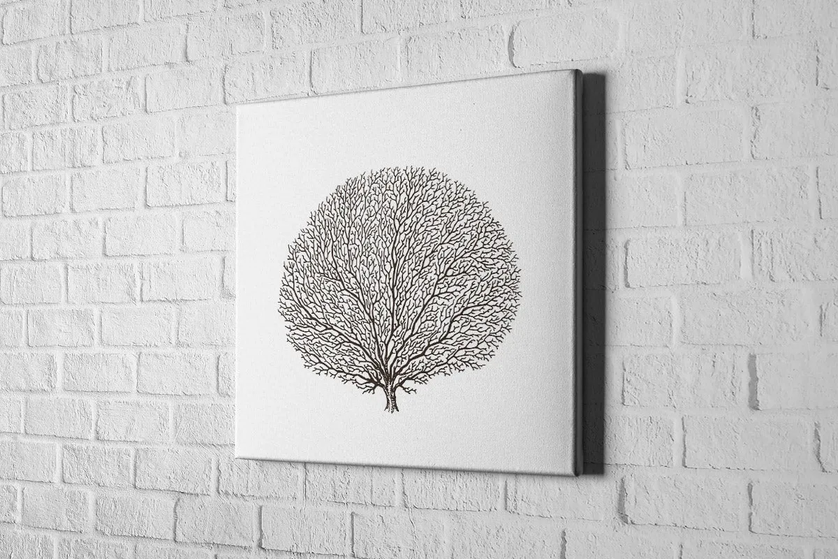 Fan Coral Black on White | Canvas Wall Art Print