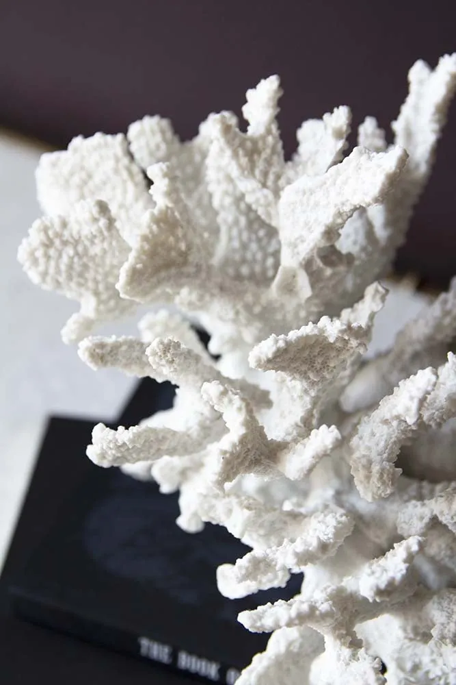 Faux Pure White Coral Ornament