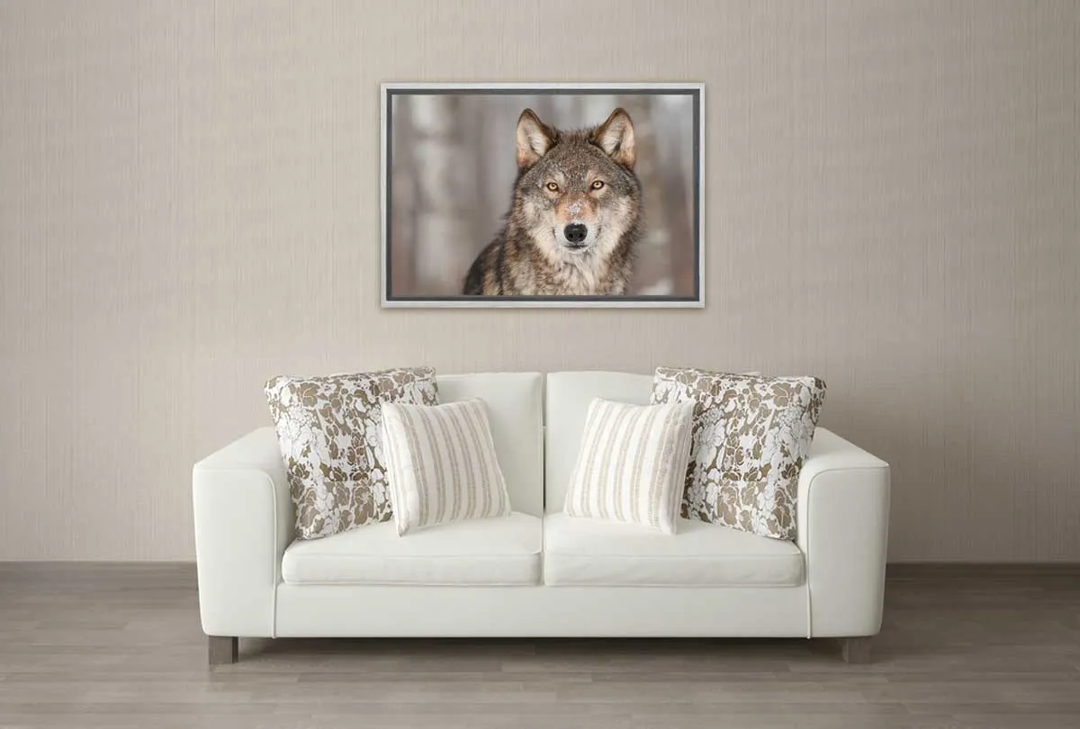 Grey Wolf Portrait | Canvas Wall Art Print