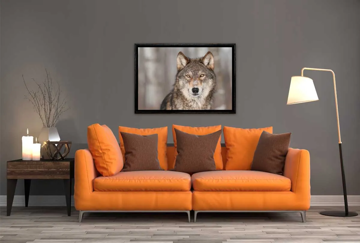 Grey Wolf Portrait | Canvas Wall Art Print