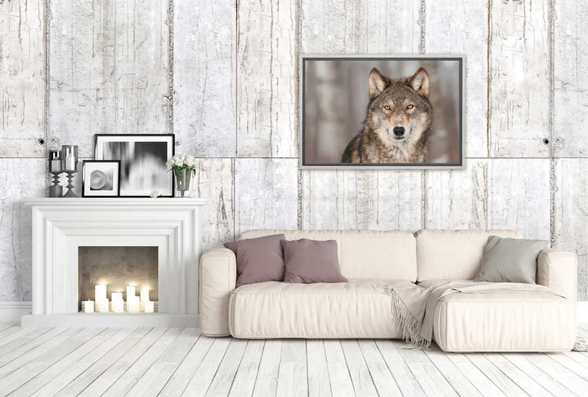 Grey Wolf Portrait | Canvas Wall Art Print