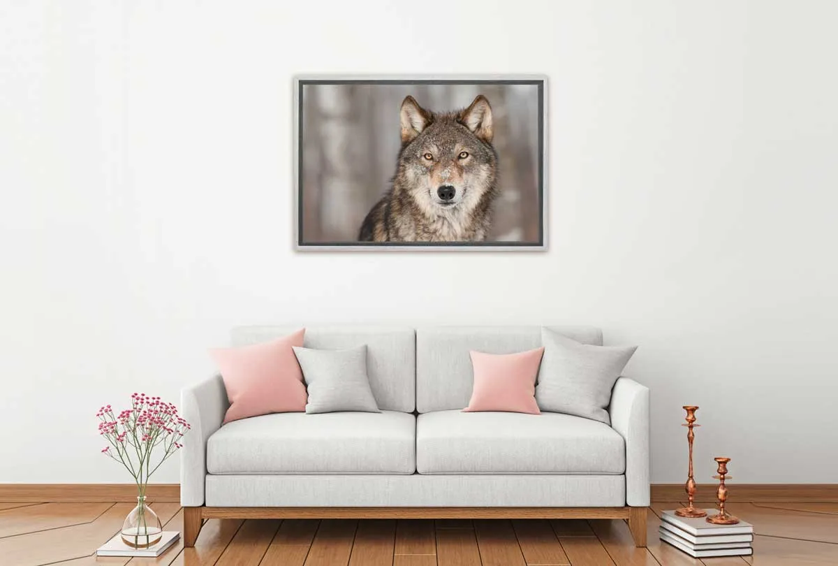 Grey Wolf Portrait | Canvas Wall Art Print