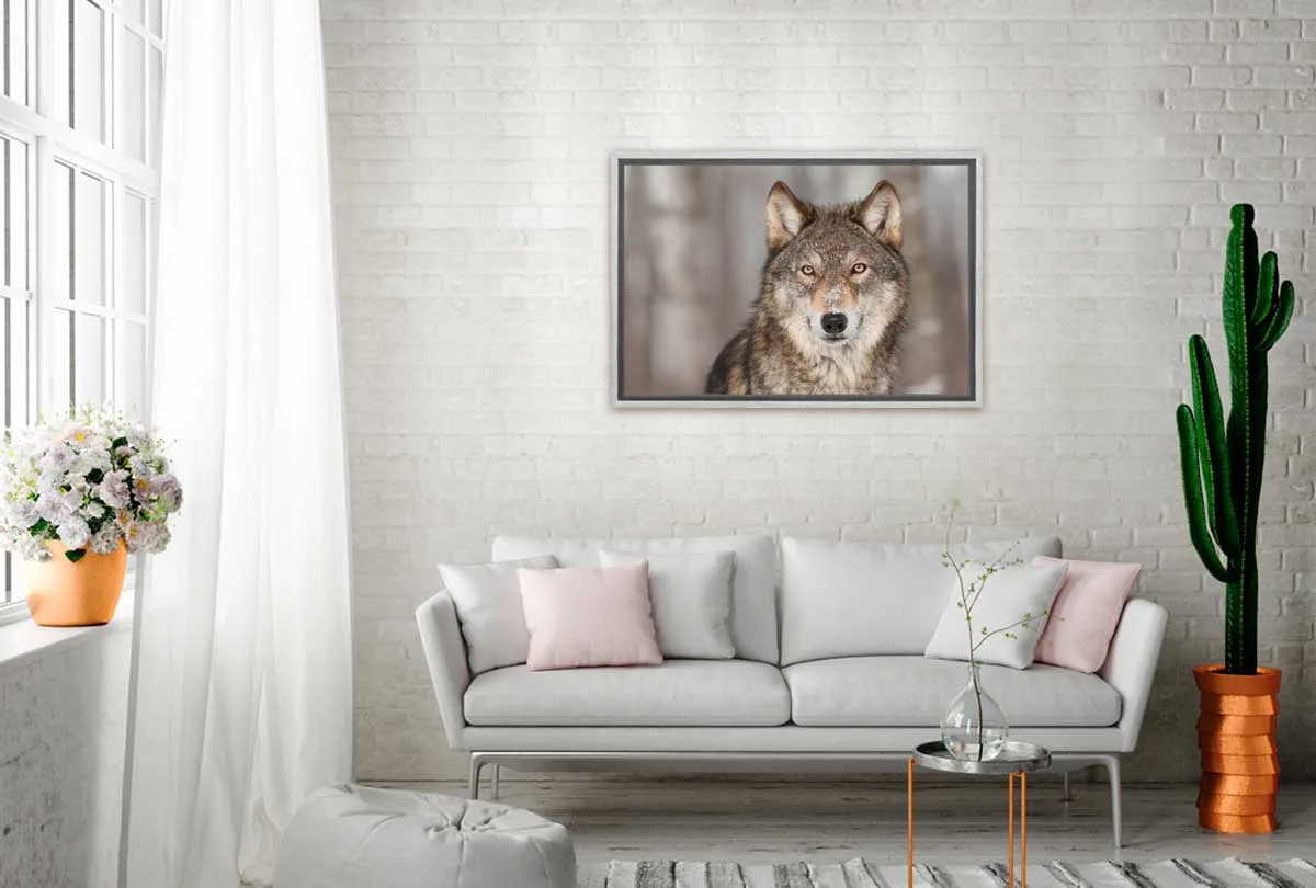 Grey Wolf Portrait | Canvas Wall Art Print