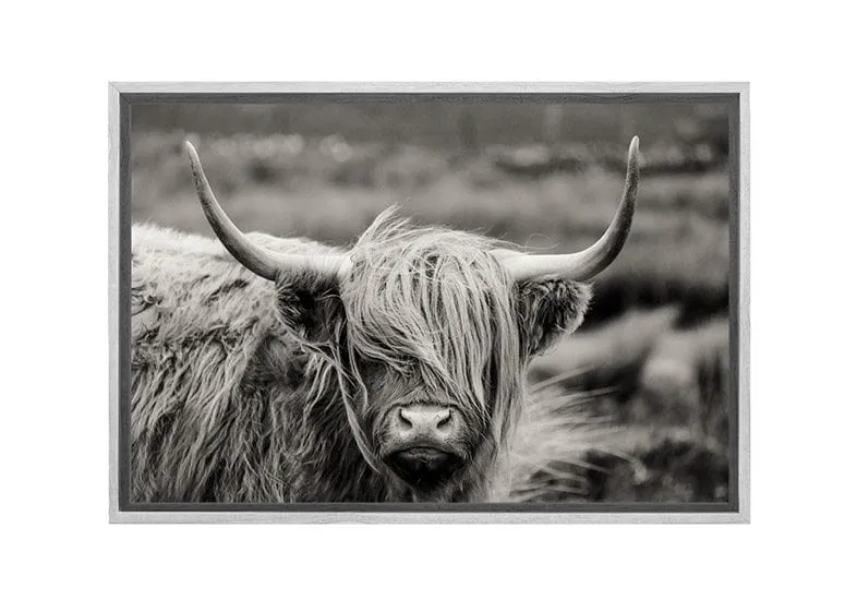 Highland Cow Monochrome | Canvas Wall Art Print