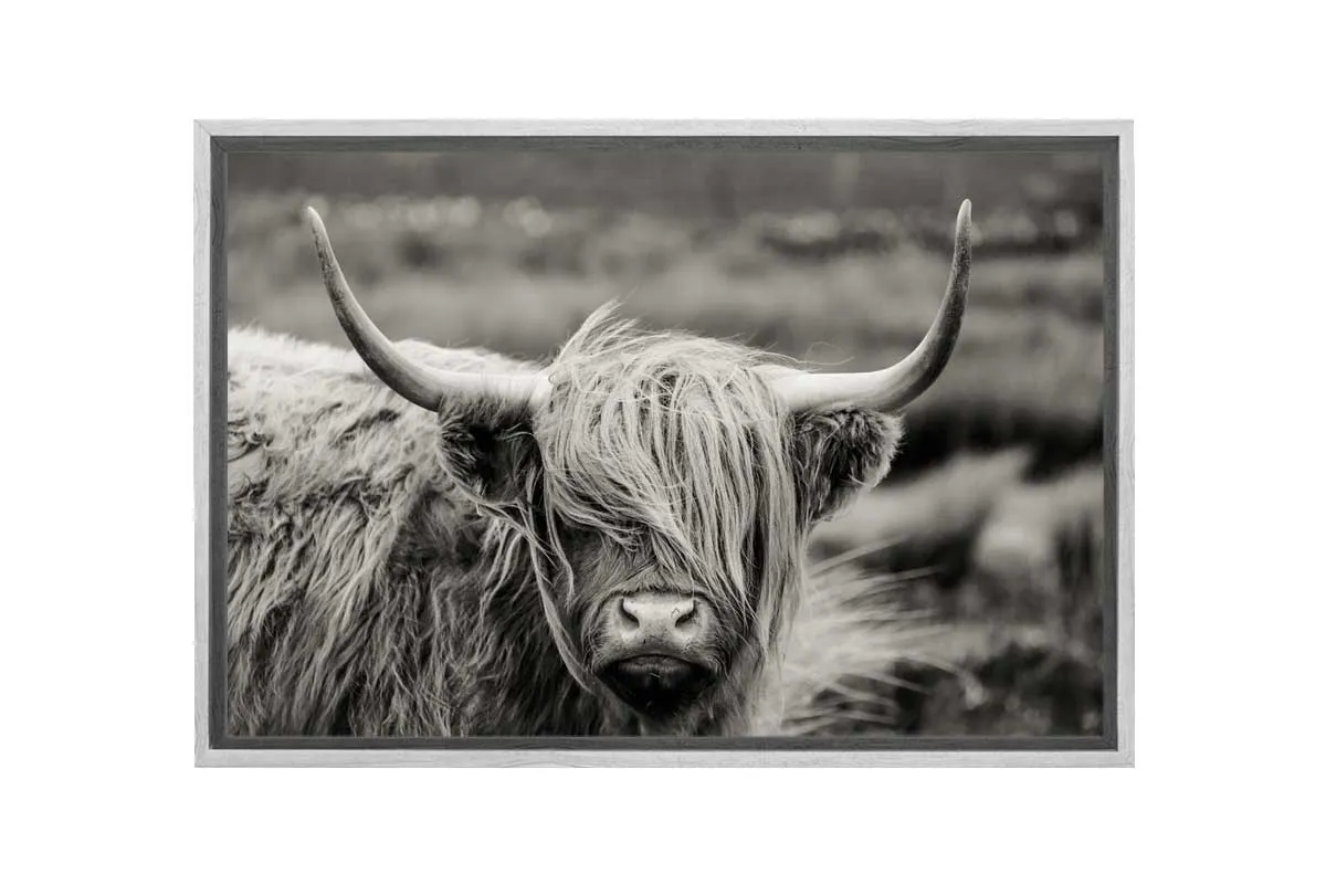 Highland Cow Monochrome | Canvas Wall Art Print