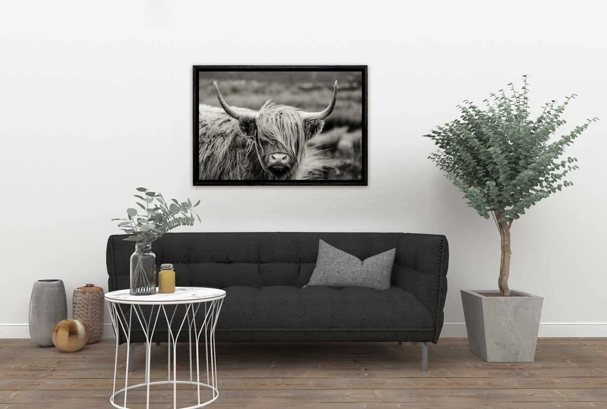 Highland Cow Monochrome | Canvas Wall Art Print