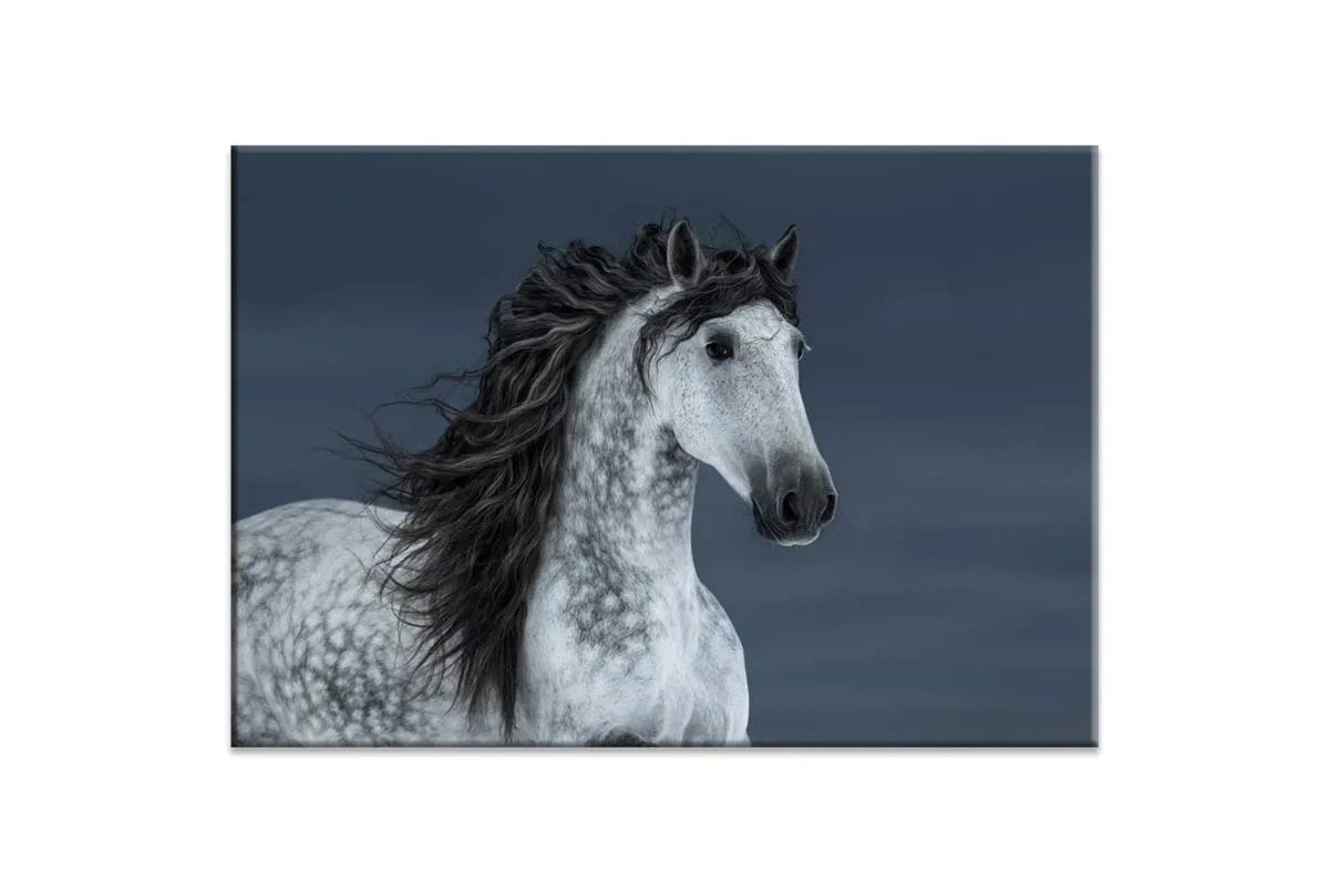 Horse | Canvas Wall Art Print