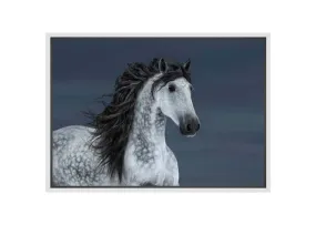 Horse | Canvas Wall Art Print