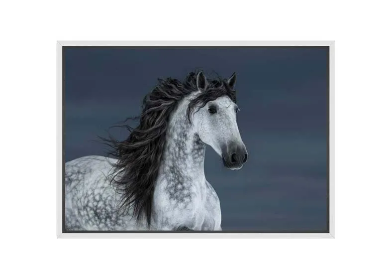 Horse | Canvas Wall Art Print